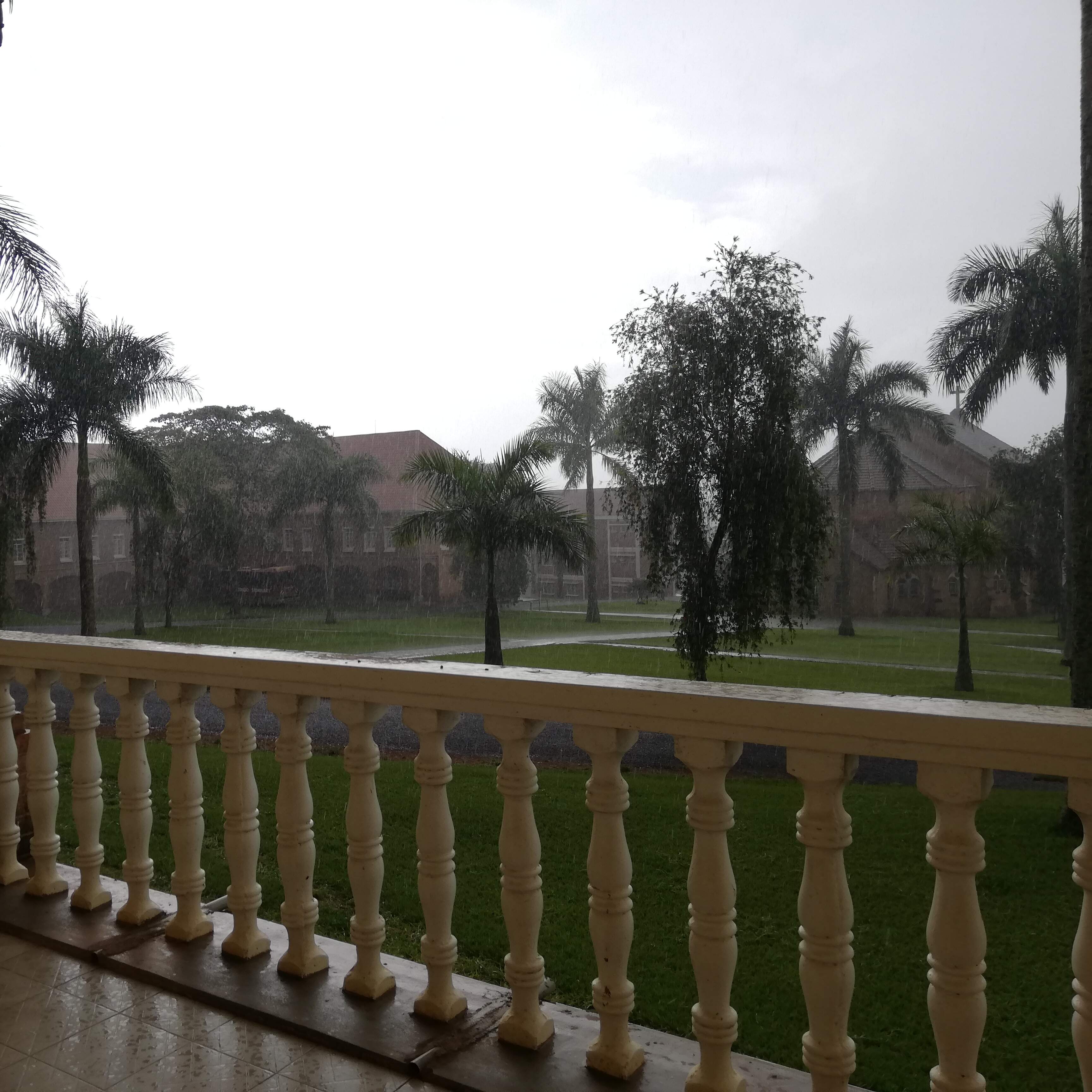 Regen